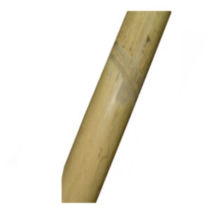 50 Pezzi Canna Bamboo Mm 18/26 H 180             Trex 07968