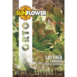 Sementi Lattuga Canasta                  Sunflower
