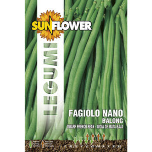 Sementi Fagiolo Nano Balong              Sunflower