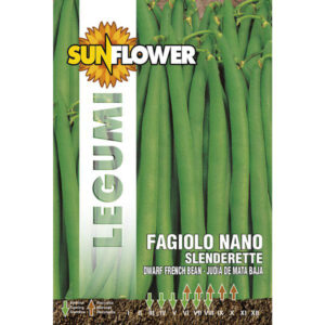 Sementi Fagiolo Nano Slenderette         Sunflower