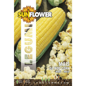 10 Pezzi Sementi Mais Pop Corn                    Sunflower