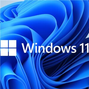 Software Microsoft Windows 11 Home 64bit Dvd Oem Kw9-00642