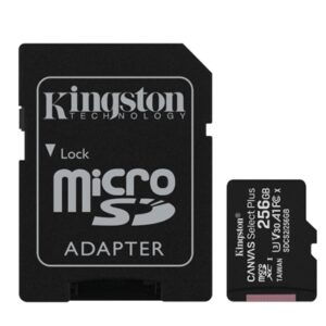 Memorie Flash Micro Secure Digital 256gb Sdcs2/256gb Class10 Uhs-i 100mb/s + Adattatore Canvas Select Kingston